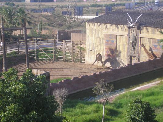 P1010064.JPG