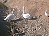 P1010090.JPG P1010090.JPG