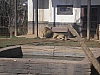 P1010107.JPG P1010107.JPG