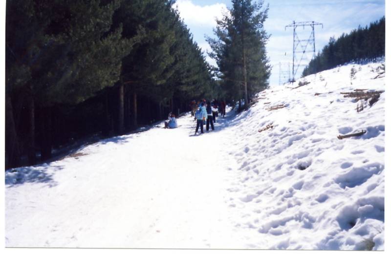 File0005.jpg