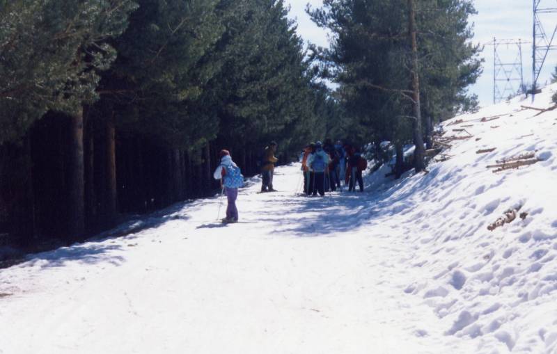 File0007.jpg