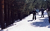 File0003.jpg