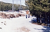 File0006.jpg