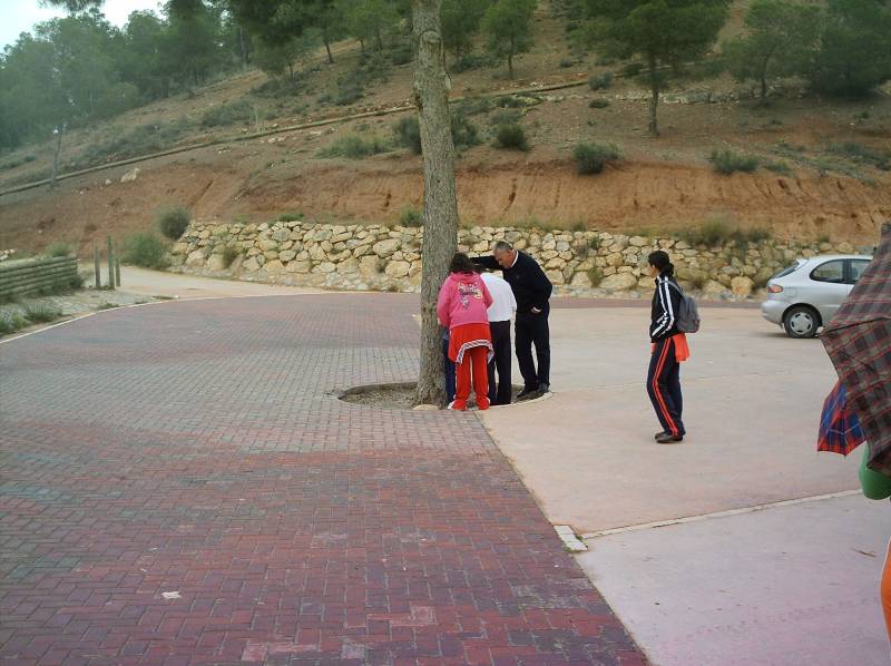 IMAG0024.JPG