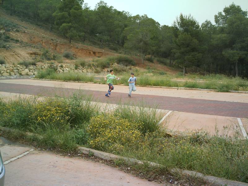 IMAG0026.JPG