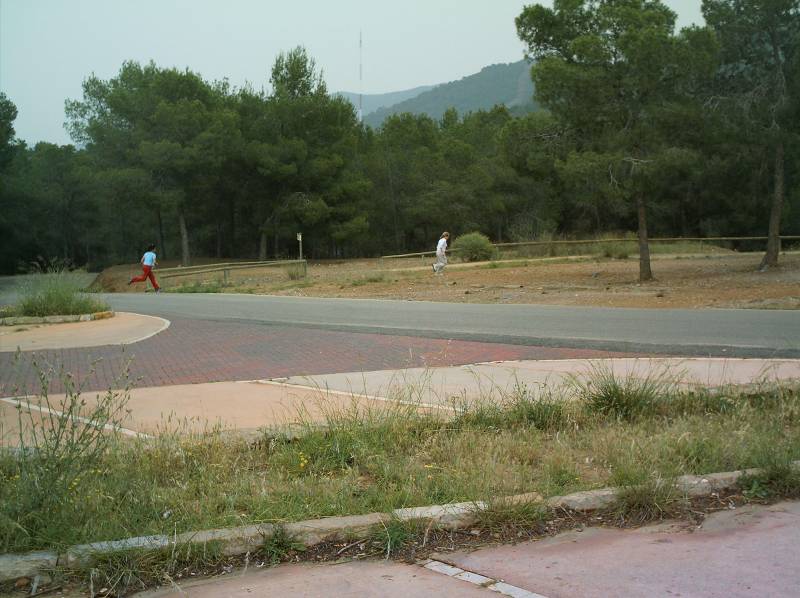 IMAG0037.JPG