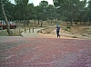 IMAG0029.JPG