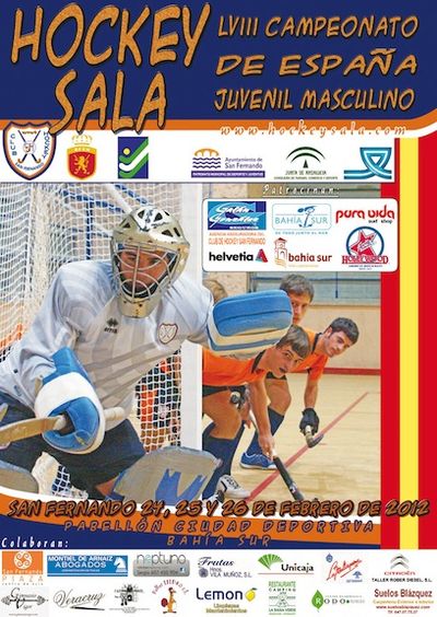 EQUIPO NECESARIO JUGAR HOCKEY equipo necesario jugar hockey:
