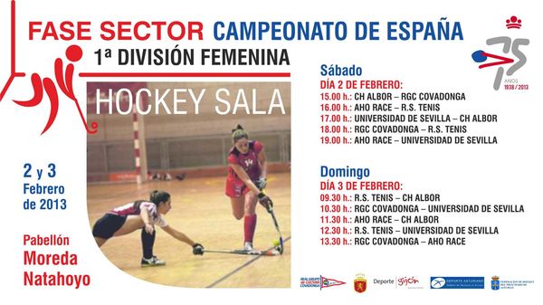 EQUIPO NECESARIO JUGAR HOCKEY equipo necesario jugar hockey: