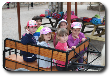 CENTRO ECUESTRE EL VALLE