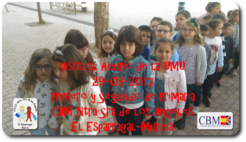 ACUARIO DE LA UMU