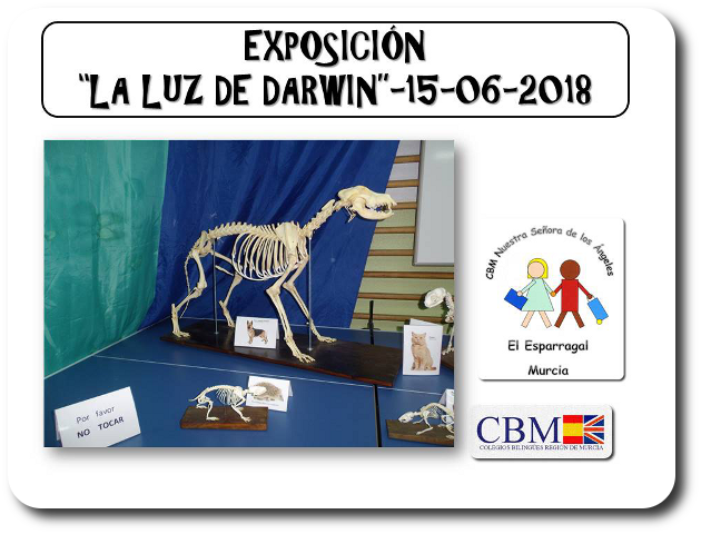 FOTOS LA LUZ DE DARWIN