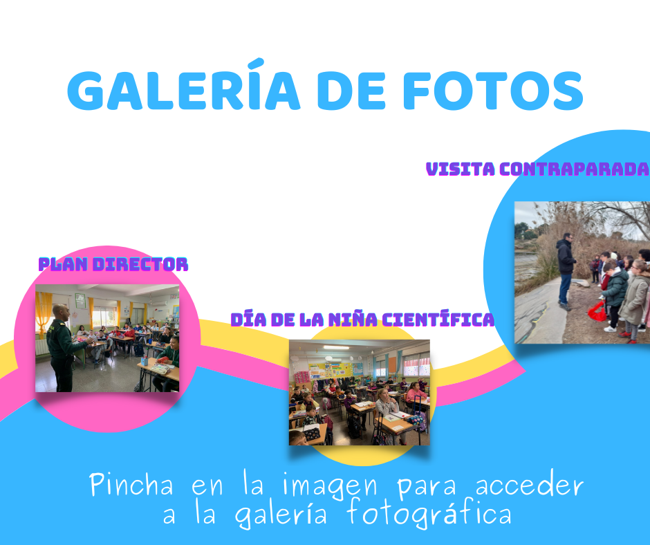 GALERIA FEBRERO