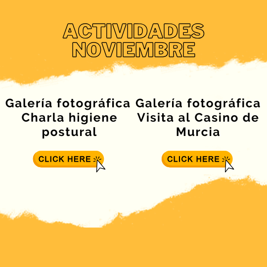 ACTIVIDADES NOVIEMBRE