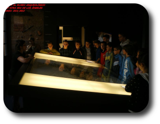 MUSEO ARQUEOLOGICO DE MURCIA