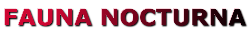 FAUNA NOCTURNA