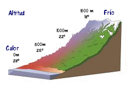 Factores climáticos | Tema 4 El clima