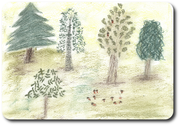 SEQUENCE 7